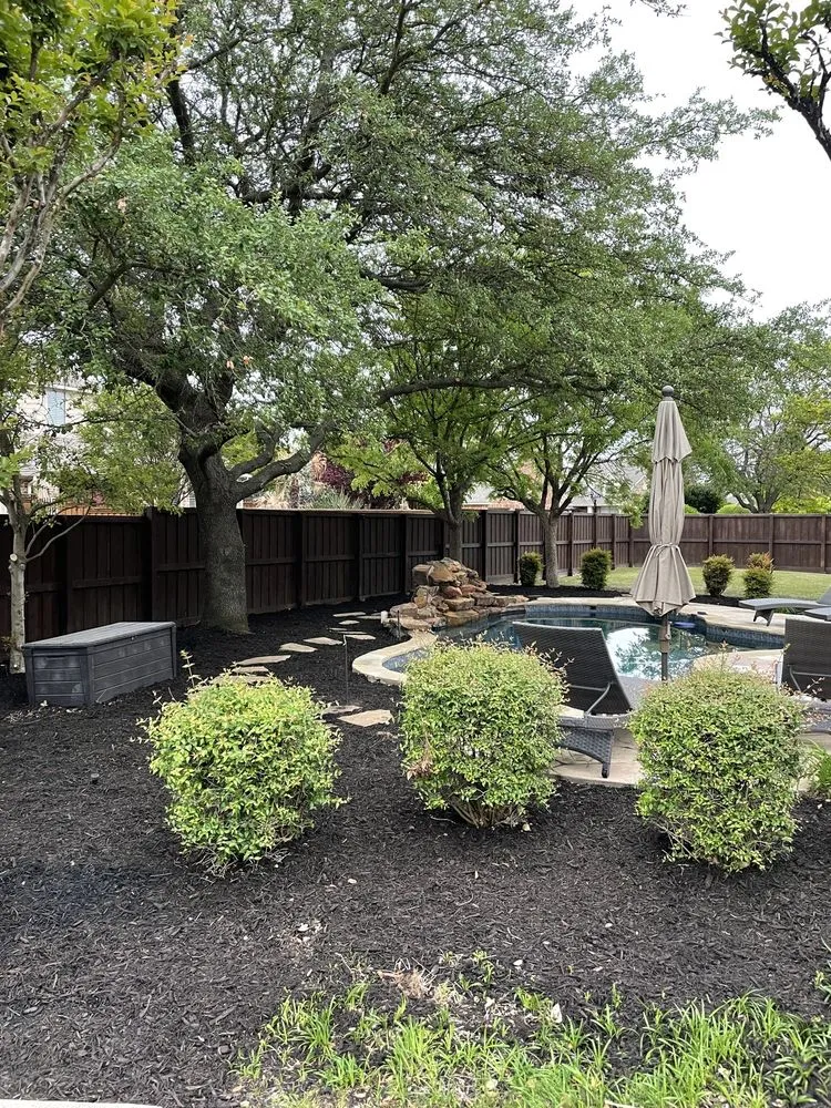 Local yard cleanup service experts serving Nevada, TX - J & T Lawn Care & Fencing