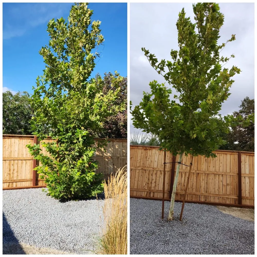 Professional landscape design in Reno, NV - J & T Super Services