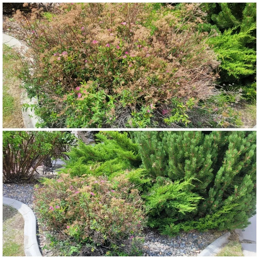 Local lawn mowing service in Reno, NV by J & T Super Services