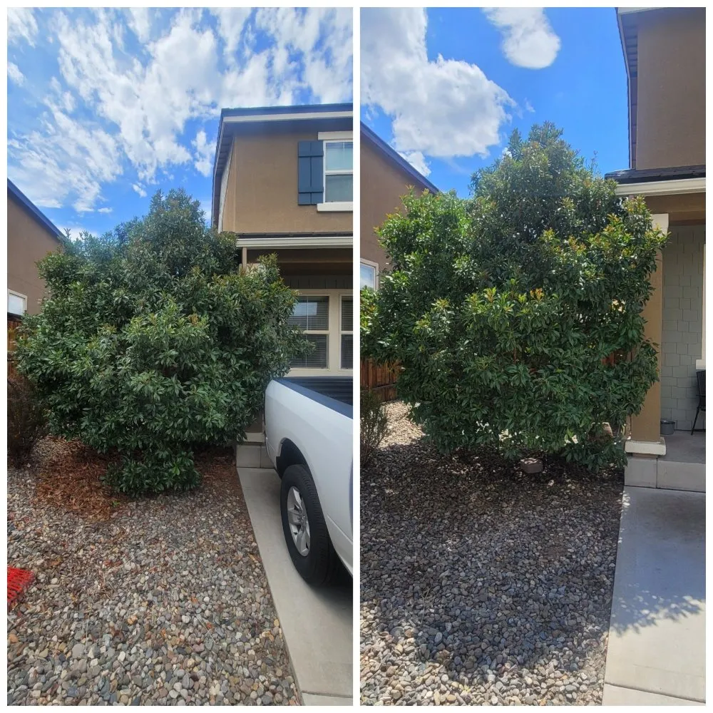 Expert garden landscaping for residential properties in Reno, NV by J & T Super Services