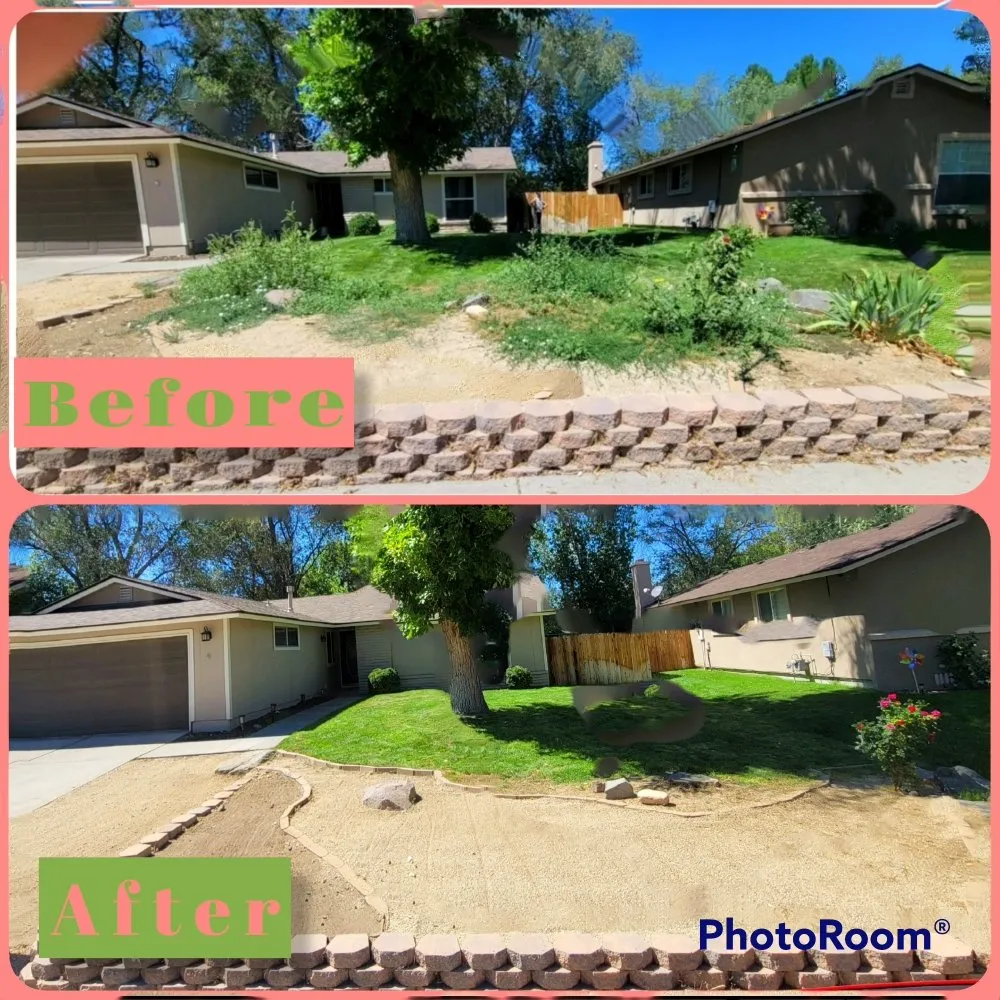 Expert yard maintenance for year-round maintenance in Reno, NV by J & T Super Services