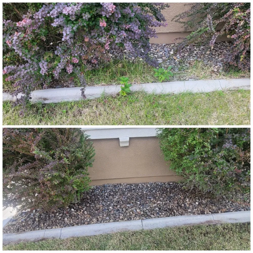 Affordable landscape design in Reno, NV - J & T Super Services