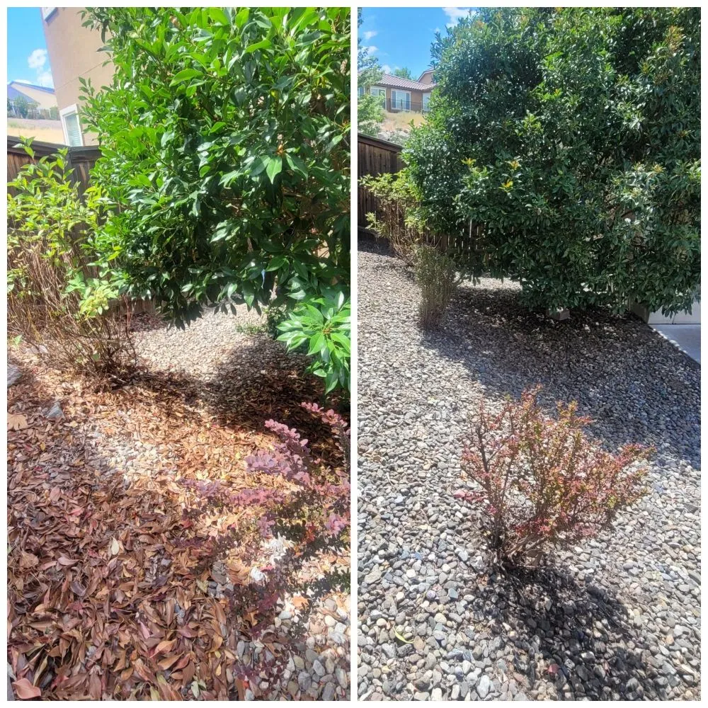 Local garden landscaping in Reno, NV - J & T Super Services
