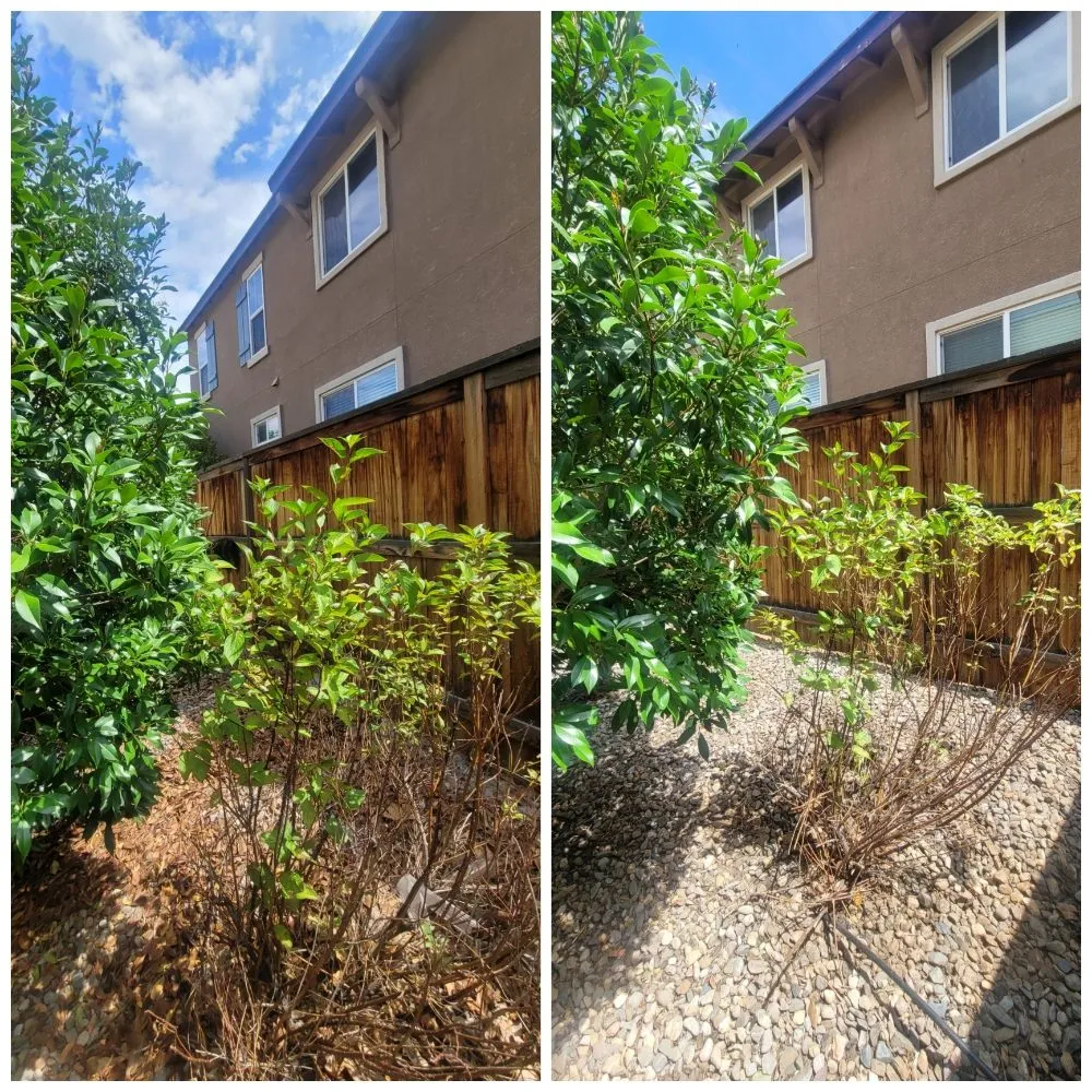 Expert residential landscaping in Reno, NV - J & T Super Services