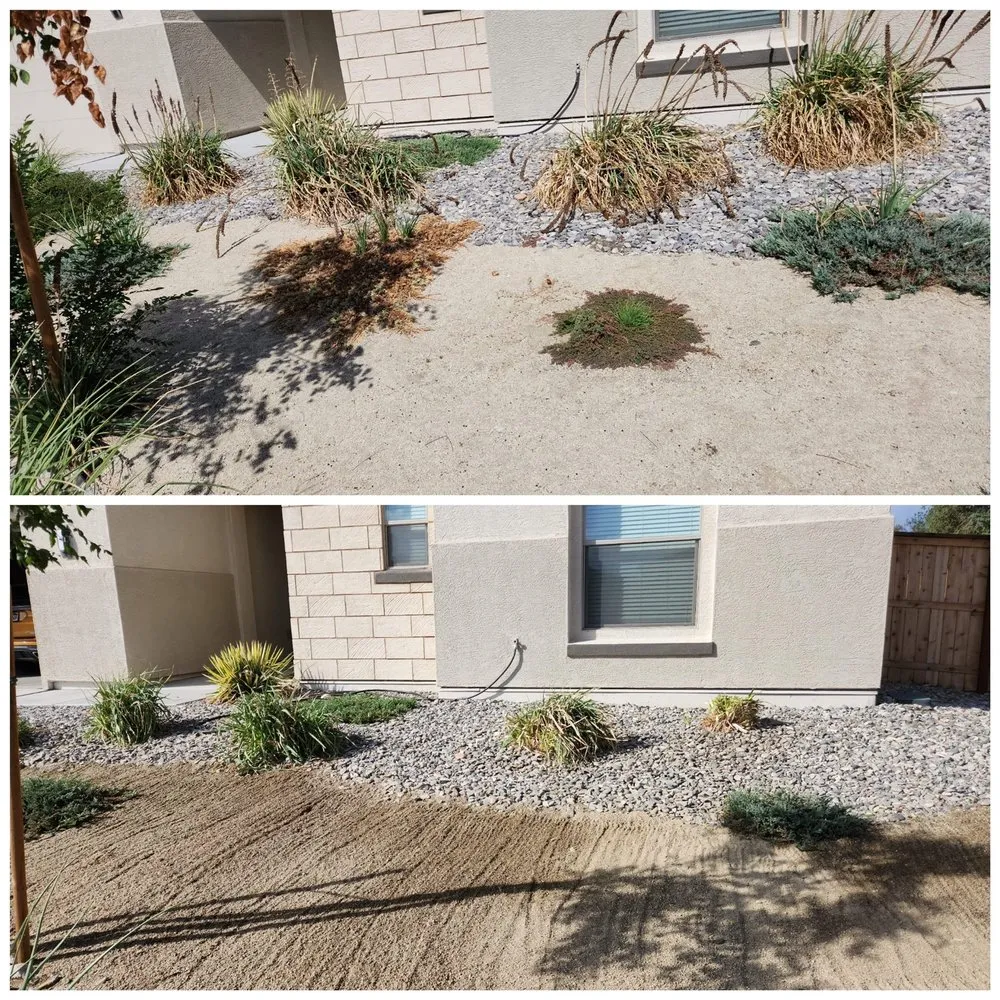 Affordable lawn mowing service in Reno, NV by J & T Super Services