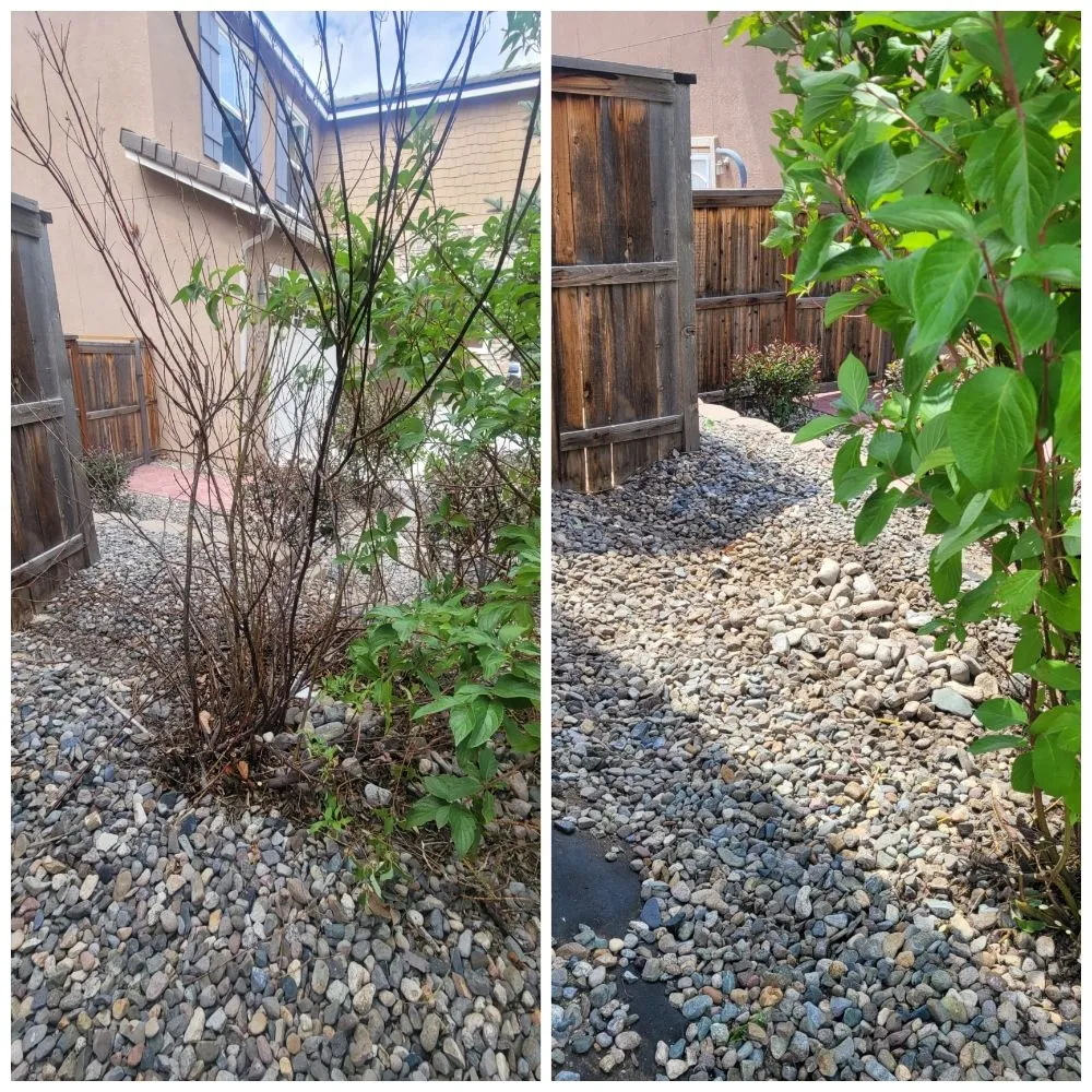 Professional lawn mowing service in Reno, NV by J & T Super Services