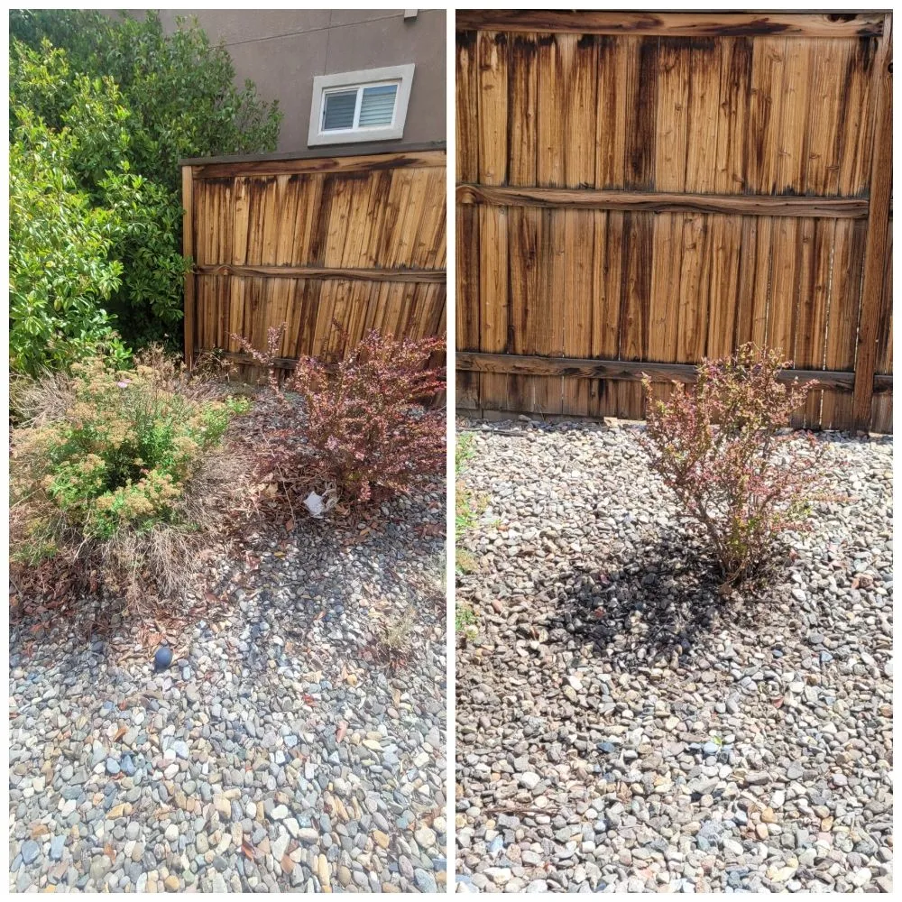 Custom landscape installation in Reno, NV - J & T Super Services