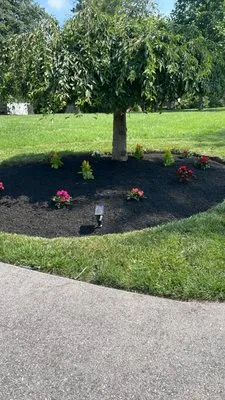 J & V landscape Logo