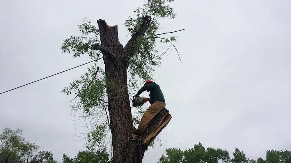 Custom landscape design experts serving Sioux City, IA - J & V Landscaping & Housekeeping