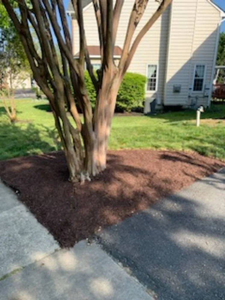 Professional outdoor landscaping for year-round maintenance across Bowie, MD - J & W Landscaping