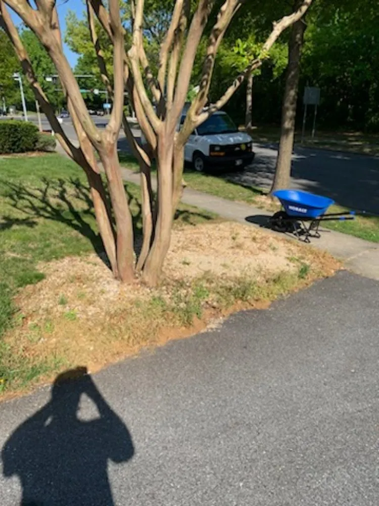 Reliable yard cleanup service in Bowie, MD by J & W Landscaping