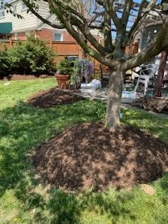 Expert yard maintenance in Bowie, MD by J & W Landscaping