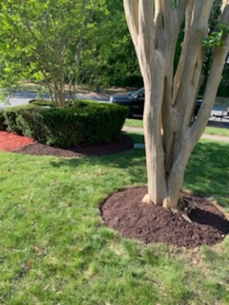 Professional residential landscaping for beautiful yards across Bowie, MD - J & W Landscaping