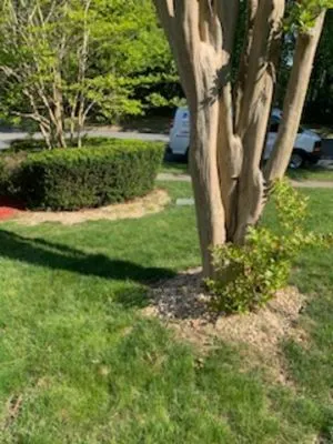 J & W Landscaping Logo