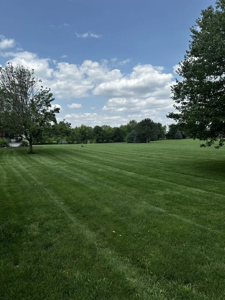 Top-rated lawn mowing service for year-round maintenance in Kettering, OH by J & W Services