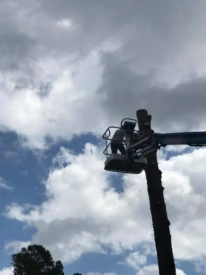 Local lawn mowing service in Myrtle Beach, SC - J & W Tree Service, Landscaping and Roofing