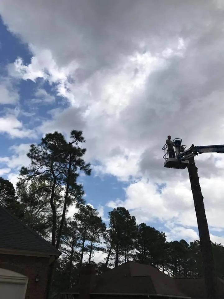 Top-rated landscape installation for year-round maintenance in Myrtle Beach, SC by J & W Tree Service, Landscaping and Roofing