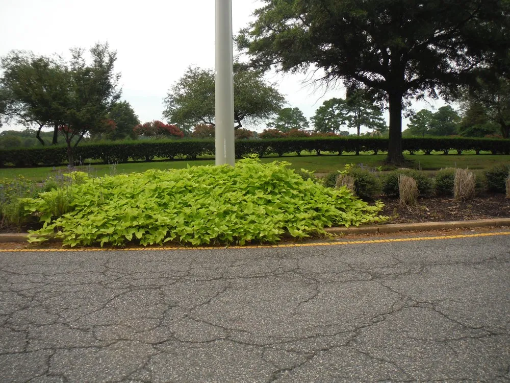 Professional landscape installation experts serving Chesapeake, VA - J & Z Land and Lawn