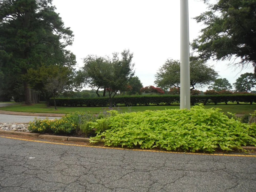 Trusted yard cleanup service experts serving Chesapeake, VA - J & Z Land and Lawn