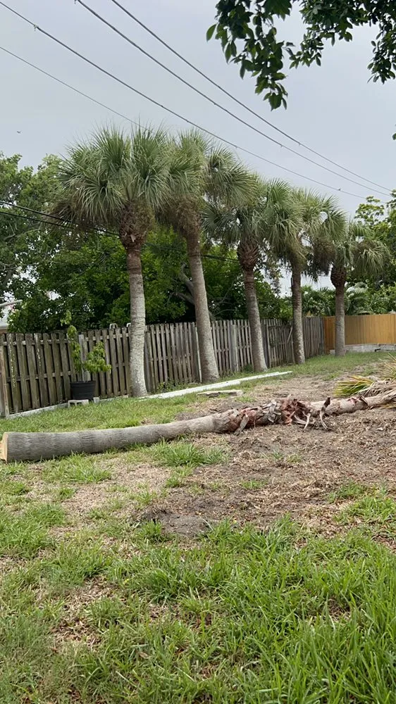 Trusted landscape design in Cocoa, FL - J-1 Hauling