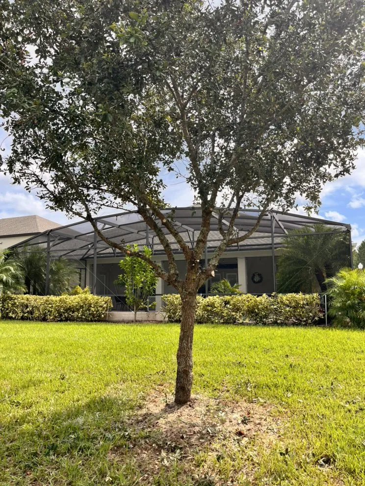 Local yard maintenance in Cocoa, FL - J-1 Hauling