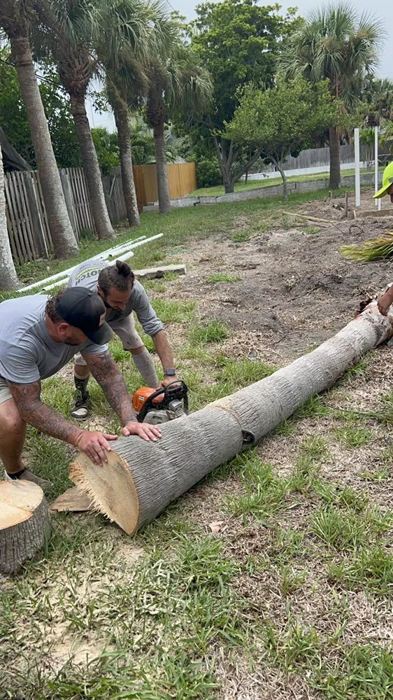 Affordable landscaping services with custom design across Cocoa, FL - J-1 Hauling