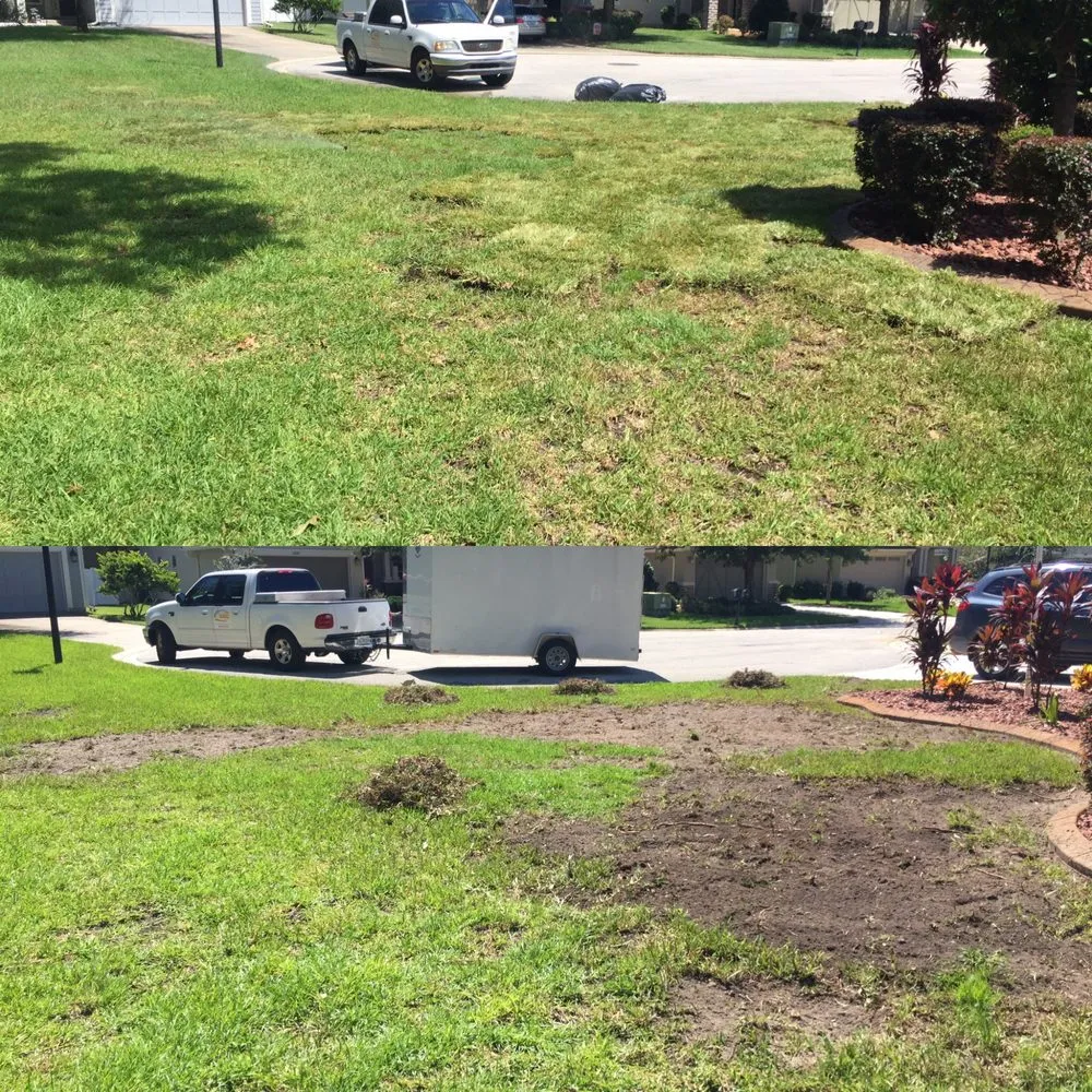 Reliable outdoor landscaping in Jacksonville, FL - J 3's Property Enhancements
