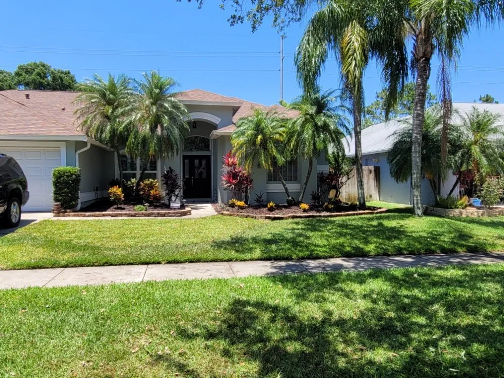 Local lawn care service for year-round maintenance in St. Petersburg, FL by J-5's Professional Lawn Care and Landscaping