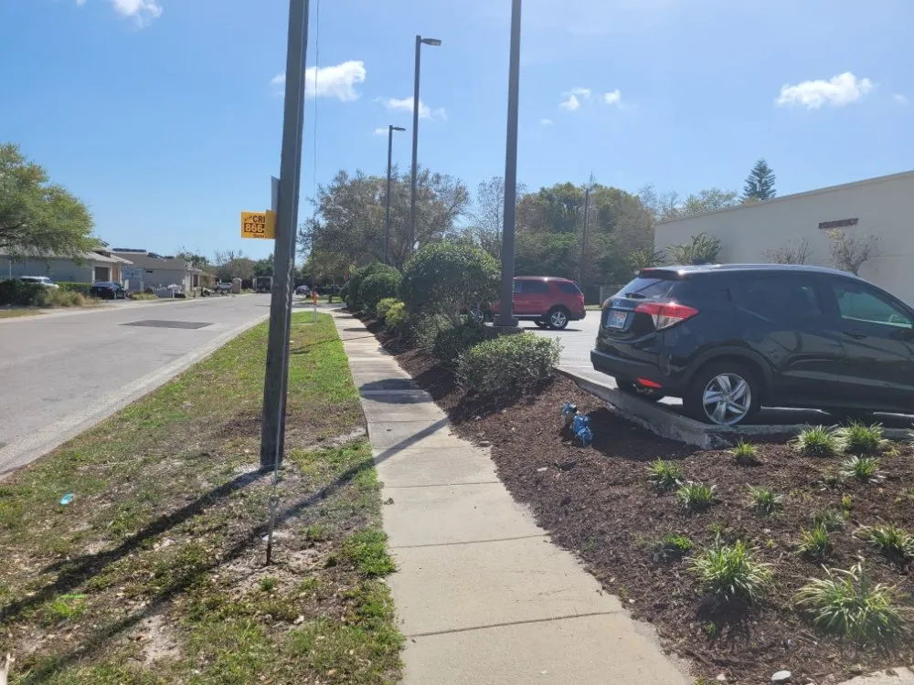 Expert lawn mowing service for year-round maintenance across St. Petersburg, FL - J-5's Professional Lawn Care and Landscaping