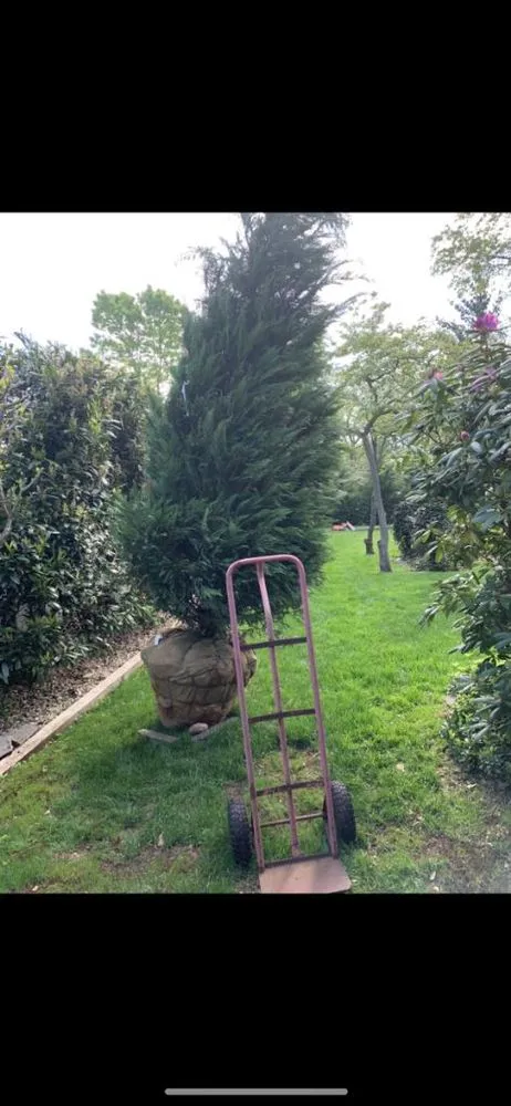 Local landscape design for homes across Westbury, NY - J A F Landscaping