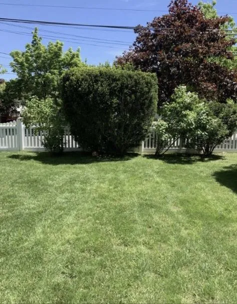 Professional yard maintenance experts serving Westbury, NY - J A F Landscaping