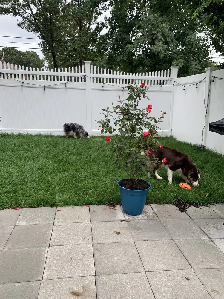 Trusted lawn care service for outdoor upgrades across Westbury, NY - J A F Landscaping