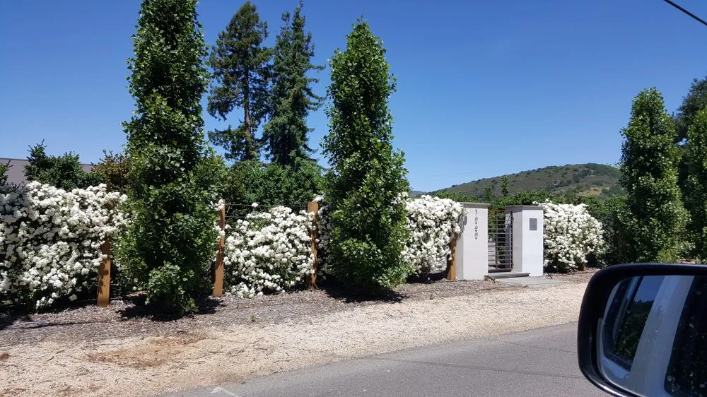 Local yard cleanup service experts serving Napa, CA - J A Landscaping & Hauling