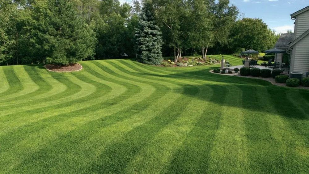 Expert yard cleanup service in Erie, PA by J A Landscaping & Outdoor Service