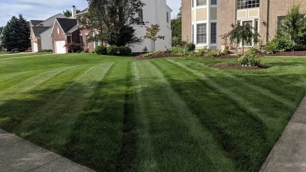 Reliable yard cleanup service near you across Erie, PA - J A Landscaping & Outdoor Service