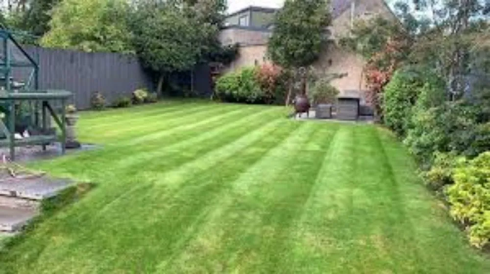 Custom lawn care service for beautiful yards across Erie, PA - J A Landscaping & Outdoor Service