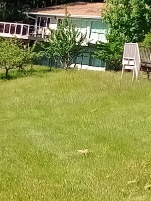 J A Landscaping Logo