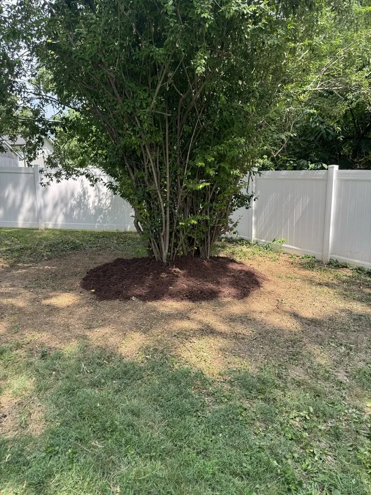 Professional landscape design in Fenton, MO - J A Lawn Care