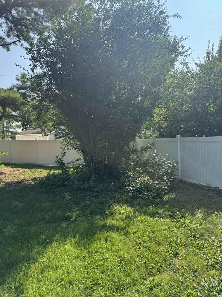 Expert landscaping services for outdoor upgrades in Fenton, MO by J A Lawn Care