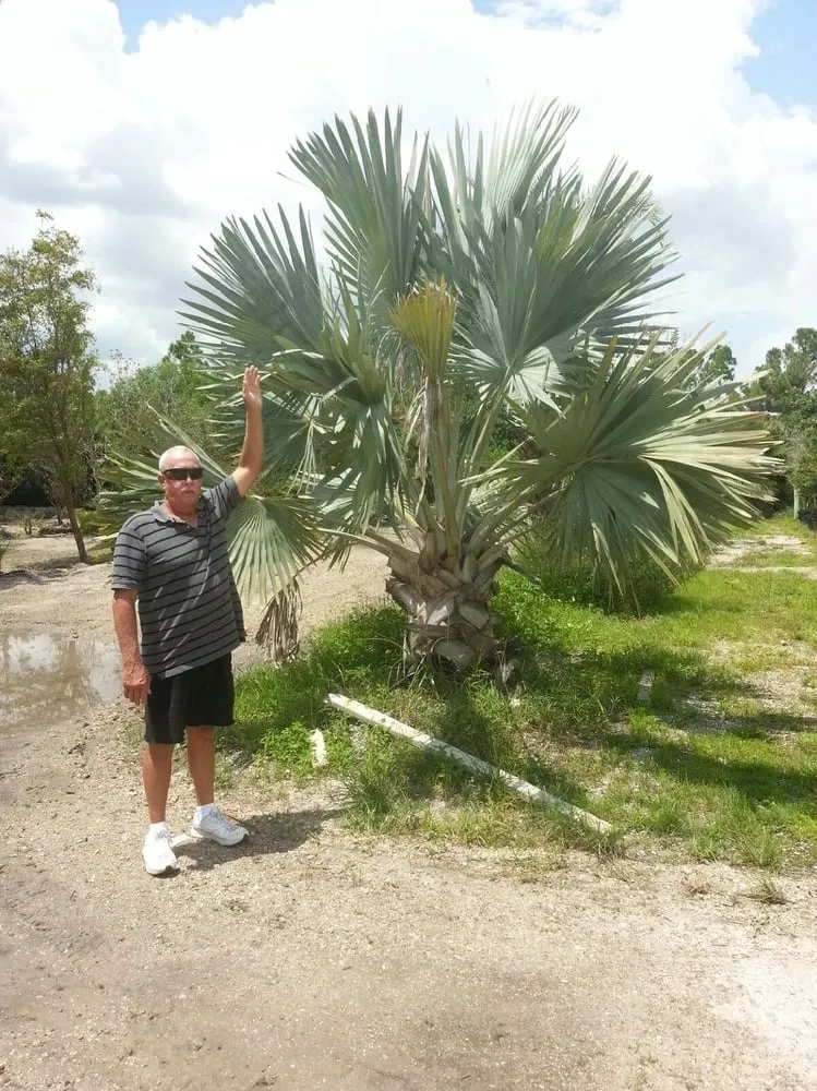 Custom outdoor landscaping for year-round maintenance in Port Charlotte, FL by J ALynch Landscaping