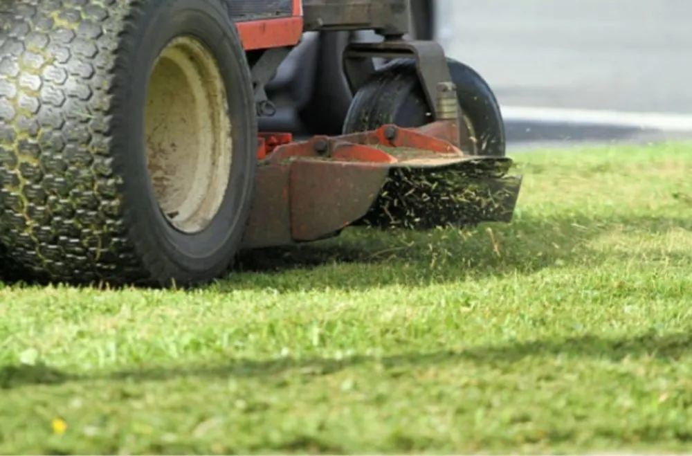 Professional lawn mowing service in Bunnell, FL by J an J Lawn and Home Maintenance