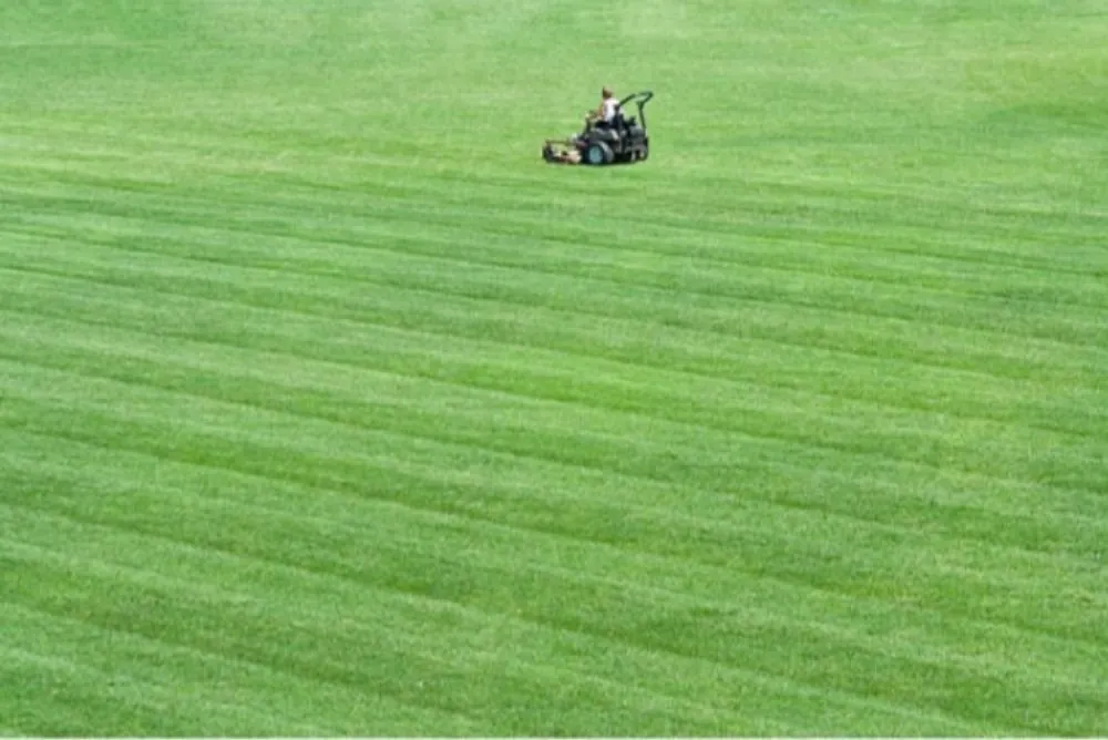 Professional landscaping services in Bunnell, FL by J an J Lawn and Home Maintenance