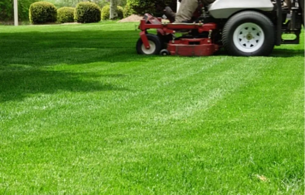 Local landscape design experts serving Bunnell, FL - J an J Lawn and Home Maintenance