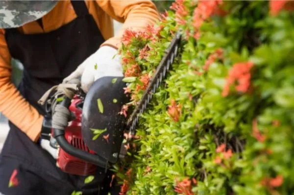 J an J Lawn and Home Maintenance