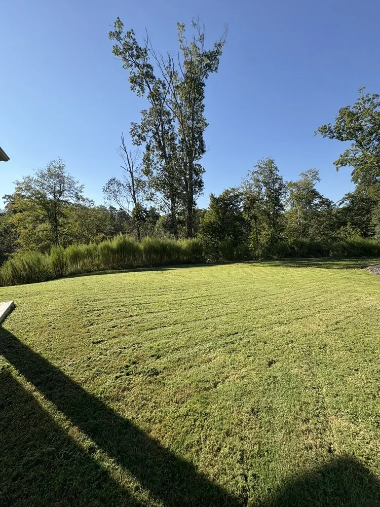 Reliable residential landscaping for residential properties across Moore, SC - J and A Lawncare