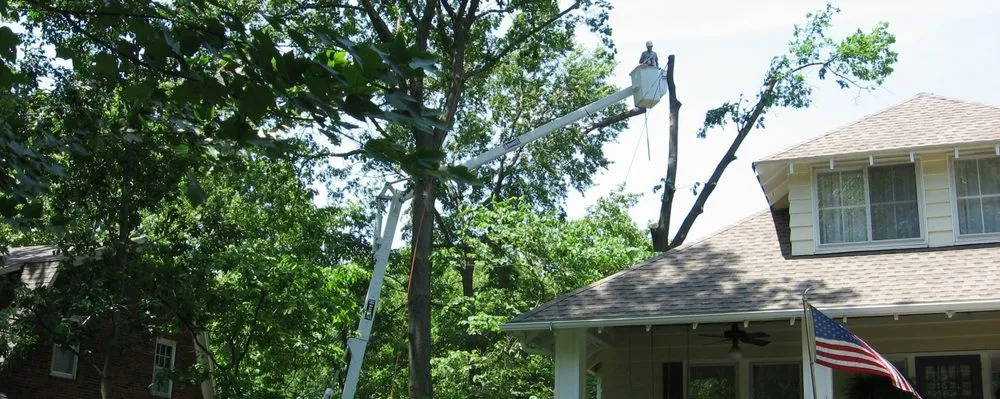 Local residential landscaping in Columbia, LA by J and B Land Works Company