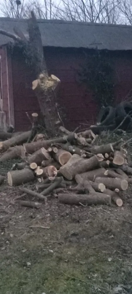 Top-rated lawn care service in Stanford, KY by J and B's Odd Jobs and Lawncare Services