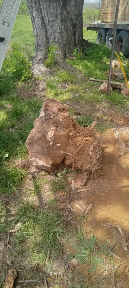 Affordable lawn mowing service in Stanford, KY by J and B's Odd Jobs and Lawncare Services