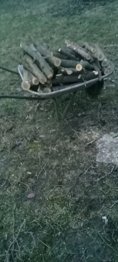 Top-rated outdoor landscaping with custom design in Stanford, KY by J and B's Odd Jobs and Lawncare Services