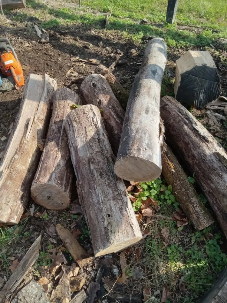 Professional landscape design for homes across Stanford, KY - J and B's Odd Jobs and Lawncare Services